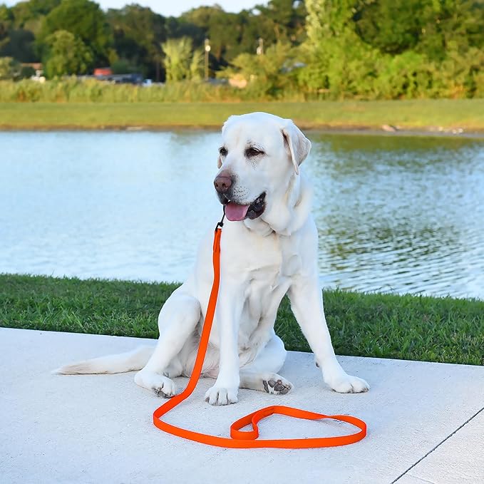 Dogline Biothane Waterproof Dog Leash Strong Coated Nylon Webbing with Black Hardware Odor-Proof Easy to Clean High Performance for Small or Large Dogs Made in USA 4 or 6 ft Lead, Hunter Orange