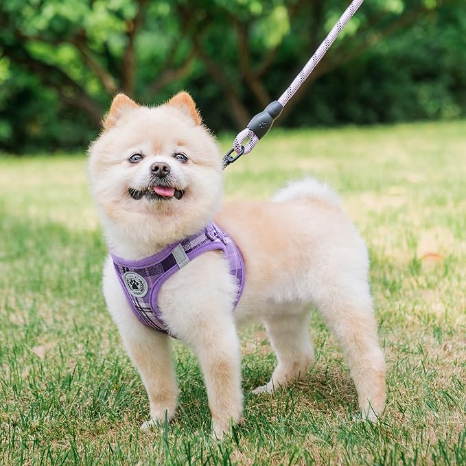 BEAUTYZOO Small Dog Harness and Leash Set,Step in No Choke No Pull Soft Mesh Dog Harnesses Reflective for Extra-Small/Small Medium Puppy Dogs and Cats, Plaid Dog Vest Harness for XS S Pets, Purple XXS