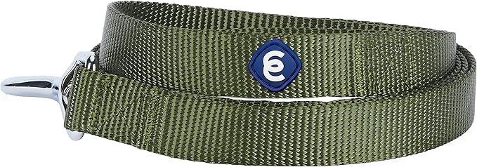 Blueberry Pet Essentials Military Green Dog Leash for Small -5' * 5/8" Dogs | Heavy Duty Nylon Lead | Lightweight Puppy & Cat Leash for Walking & Training