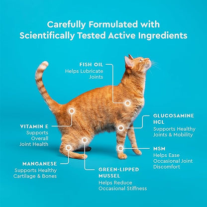 VetIQ Cat Hip & Joint Supplement, Chicken Flavored Cat Supplement with Glucosamine and Green Lipped Mussel for Mobility and Arthritis Support, 3.7oz