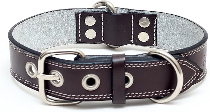 Premium Leather Collars with Stainless Steel Buckles (21"-24", Chocolate)
