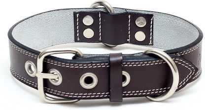 Premium Leather Collars with Stainless Steel Buckles (21"-24", Chocolate)