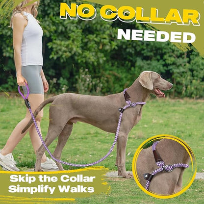 Fida Durable Slip Lead, 6 FT x 1/2" Heavy Duty Rope Leash for Large, Medium Dogs, No Pull Pet Training Leash with Highly Reflective, Purple