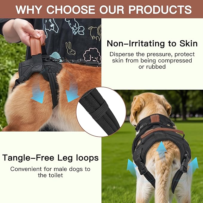Dog Lift Harness, Full Body Dog Harness with Handle for Lifting, Front/Back Leg Support, Prevent Chafing Pee-Able Design, 2-in-1 Detachable Dog Assist Harness for Senior Disabled Dogs Up to 40lb
