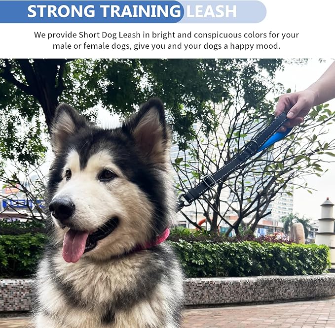 Strong Heavy Duty Dog Leash - Adjustable 15"-18" Reflective Nylon Training Leash with Padded Handle & Frog Clip, Traffic Control for Large Medium Dogs No Pull Walking Black Blue