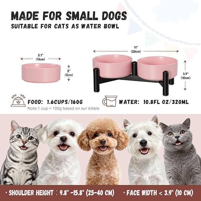 Raised Ceramic Dog Bowl Set - Elevated Double Dishes with Stainless Steel Stand - Food and Water Bowls for Small Dogs and Indoor Cats - Each Holds 1.6 Cups (10.8 fl oz) - Pink