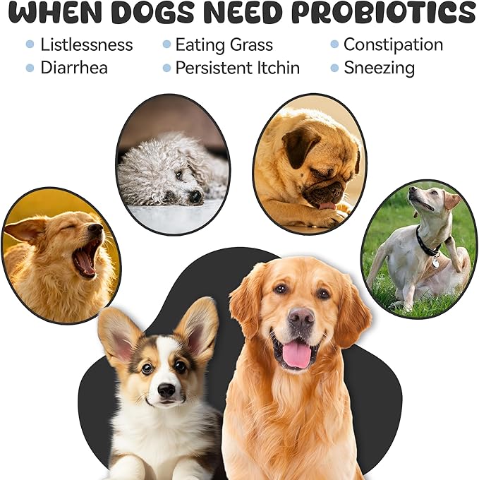 Probiotics for Dogs, Boosts Immune System, Improves Digestion, Supports Gut Health, Relieves and Prevents Diarrhea and Soft Stools, Chicken Flavor Soft Chews - 30 Tablets (120g)