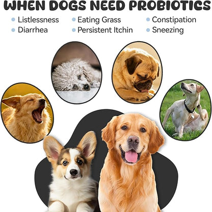 Probiotics for Dogs, Boosts Immune System, Improves Digestion, Supports Gut Health, Relieves and Prevents Diarrhea and Soft Stools, Chicken Flavor Soft Chews - 30 Tablets (120g)