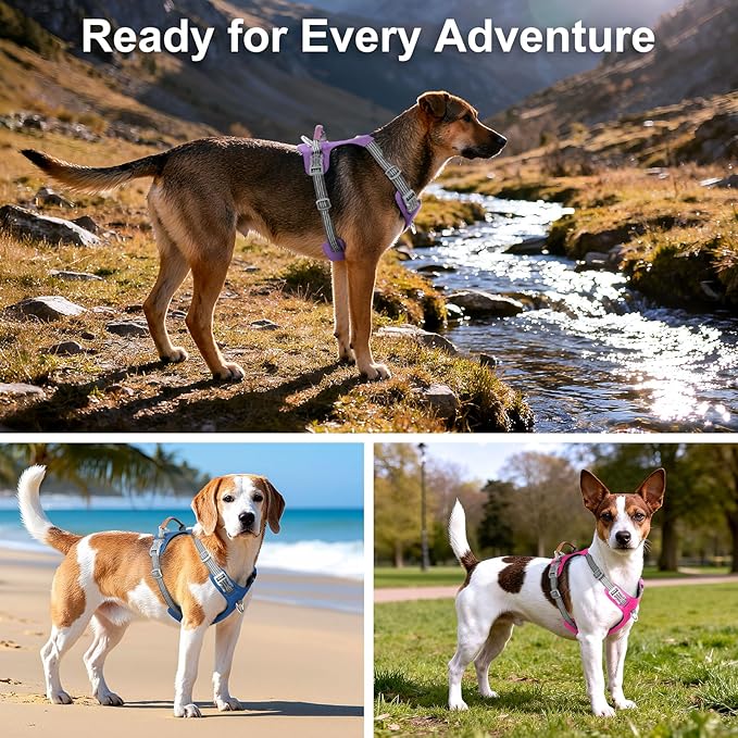 ApakBak No Pull Dog Harness – Adjustable Reflective Nylon Vest for Small Medium Large Dogs, Escape Proof Training Harness with Leather Control Handle, Lightweight Aluminum Hardware (Orange, XL)