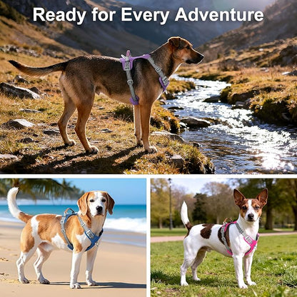 ApakBak No Pull Dog Harness – Adjustable Reflective Nylon Vest for Small Medium Large Dogs, Escape Proof Training Harness with Leather Control Handle, Lightweight Aluminum Hardware (Purple, L)