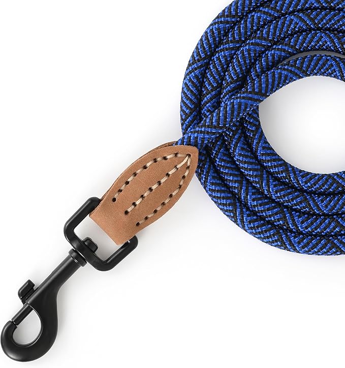 Mile High Life Small Dog Leash, Thin Rope Leash with Genuine Leather Connection and Heavy Duty Metal Clasp, Great for Small Medium Dogs(Blue,60 Inch-1/3)