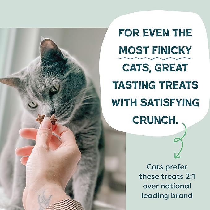 Shameless Pets Crunchy Cat Snacks & Treats – Healthy Cat Treats for Indoor Cats & Kittens with Catnip, Real Chicken & Digestive Support, Catnip N Chill (12 oz)