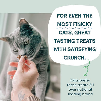 Shameless Pets Crunchy Cat Snacks & Treats – Healthy Cat Treats for Indoor Cats & Kittens with Catnip, Real Chicken & Digestive Support, Catnip N Chill (12 oz)