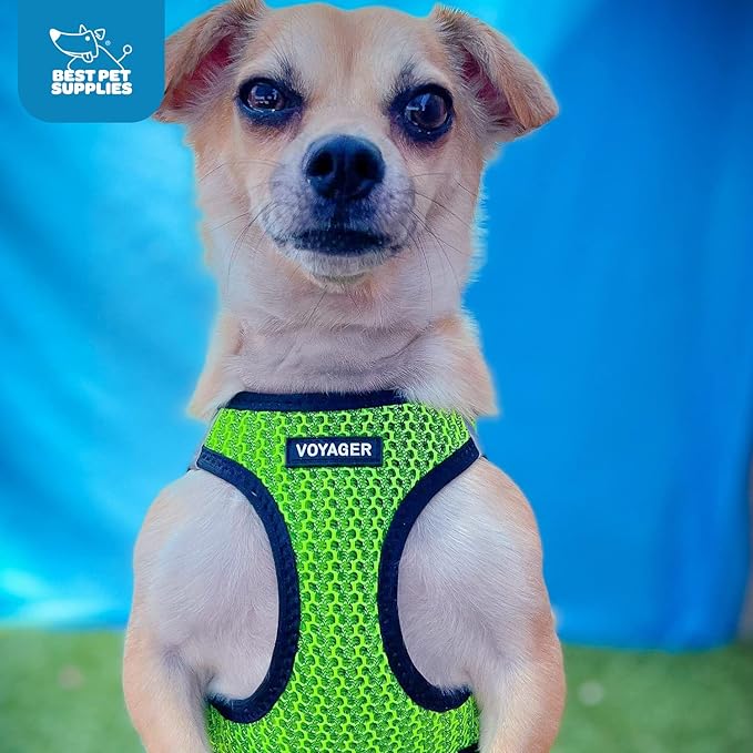 Best Pet Supplies Voyager Step-in Air Harness - All Weather Mesh, Reflective, No Pull Harness for Dogs, Cats - Secure with Hook & Loop Fastener, Buckle, Double D-Rings - Lime Green 2-Tone, XL