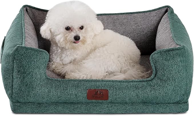 Hollypet Orthopedic Rectangle Dog Bed for Small Dogs, Supportive Egg-Crate Foam Pet Beds with Removable Washable Waterproof Cover and Non-Slip Bottom, Green, 23" L x 19" W x 8.5" Th