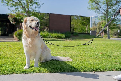 Shed Defender 5 ft. Standard Dog Leash - Three Padded Traffic Handles, Designed in The USA, Dual Layered Thickness Heavy Duty, Reflective Stitching, Large Dogs & Small Breed, Training Lead (Black)