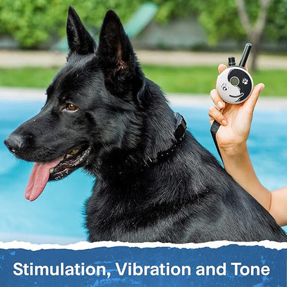 Educator ET-300 Zen Mini E Collar for Dog Training with Remote - 1/2 Mile Range, Waterproof, 100 Blunt Stimulation Levels, Tone or Vibration Mode, Night Light Tracking for Small, Medium & Large Dogs