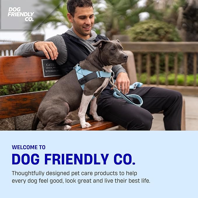 DF Co. Bungee Dog Leash | Strain Free & Shock Resistant for Control | Neoprene Padded Handle, Heavy-Duty Carabiner Clip, and D-Ring | Black, Size Small