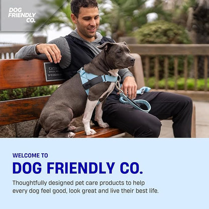 DF Co. Bungee Dog Leash | Strain Free & Shock Resistant for Control | Neoprene Padded Handle, Heavy-Duty Carabiner Clip, and D-Ring | Hi-Vis Orange, Size Small