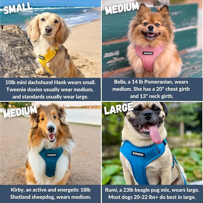 DJANGO Adventure Dog Harness - Stylish & Durable Large Dog Harness for Outdoor Adventures and Everyday Wear - Pacific Blue Neoprene Adjustable Harness for Dogs with Reflective Piping, Brass D-Ring