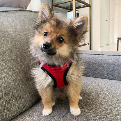 Best Pet Supplies Voyager Step-in Air Harness - All Weather Mesh, Reflective, No Pull Harness for Dogs, Cats - Secure with Hook & Loop Fastener, Buckle, Double D-Rings - Red/Black Trim, M