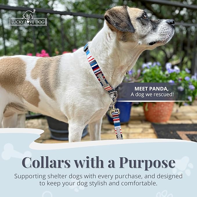 Lucky Love Dog - Adjustable Dog Collar with Easy Click Buckle for Large Dogs, Durable, & Comfortable for Male & Female Dogs, Pet Collar for Puppies & Adult Ones - Linus, Large