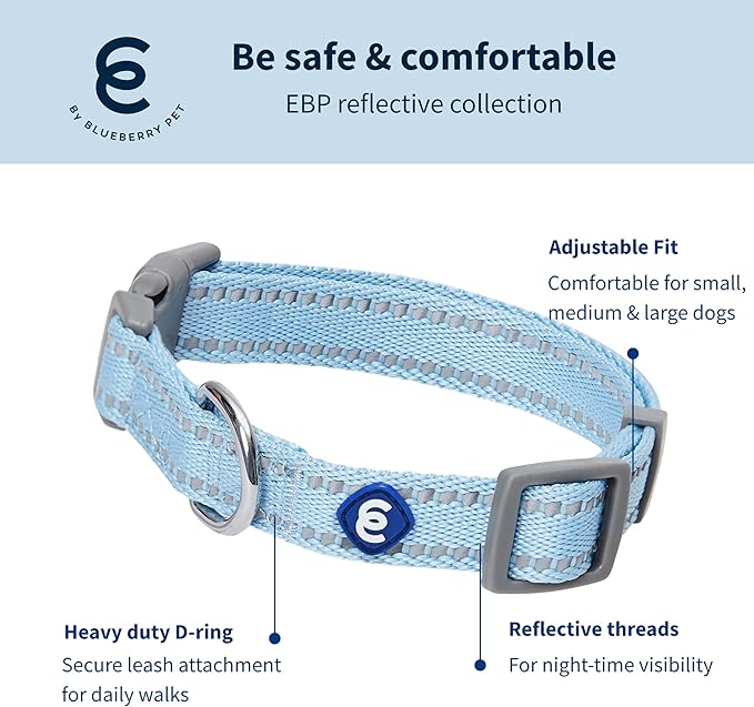 Blueberry Pet Essentials Reflective Dog Collar & Leash Set, Adjustable for Medium Dogs | Safe Walking Gear for Pet Parents, Puppy Training & Daily Use MediumDogs, Baby Blue