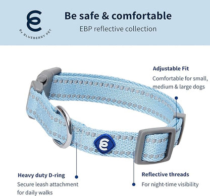 Blueberry Pet Essentials Reflective Dog Collar & Leash Set, Adjustable for Medium Dogs | Safe Walking Gear for Pet Parents, Puppy Training & Daily Use MediumDogs, Baby Blue