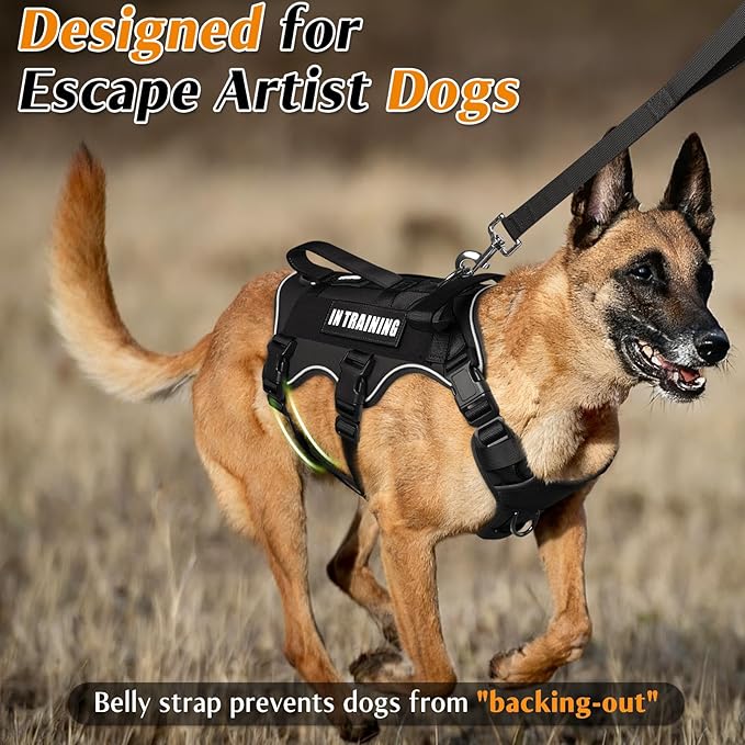 WINSEE Escape Proof Dog Harness, Service Working Molle Harness with Double Handle, Tactical Pet Vest with 4 Patches for Small Medium Large Dogs Walking Hiking Hunting