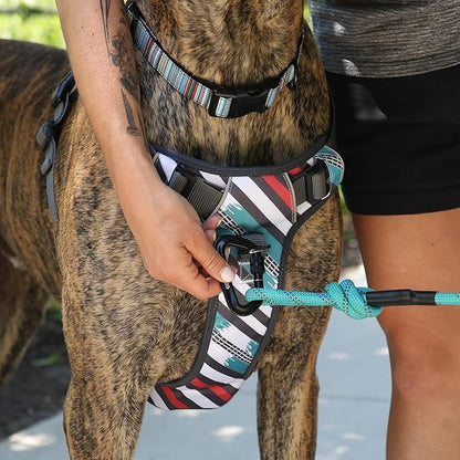 Embark Adventure Dog Harness, Reflective Trim XL Dog Harness for Extra Large Dogs No Pull - Military Grade Nylon, 2 Leash Clips & Gel Lined Handle.