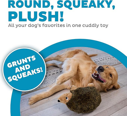 Outward Hound Hedgehogz Stuffed Dog Toy – Soft Plush Hedgehog, Grunts & Squeaks, Large, 12" x 6" x 7"