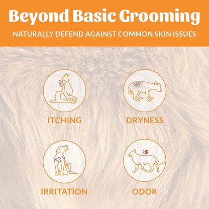 Skout's Honor Probiotic Dog Shampoo & Conditioner with Avocado Oil & Omega-3s, 97% Natural, Paraben & Sulfate-Free, Cruelty-Free, 16oz, Honeysuckle 2-Pack