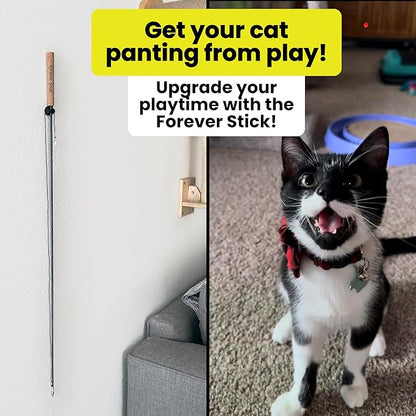 repounce Forever Stick 2 Pack - The Unbreakable Cat Toy Wand, Extra Long Durable Interactive Cat Toy for Indoor Cats, Feather Kitten Toys for Bored Indoor Adult Cats, Bird Teaser Cat Accessories