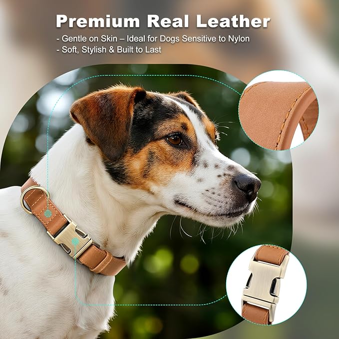 Plutus Pet Genuine Leather Dog Collar – Adjustable Pet Collar with Quick Release Metal Buckle, Soft Real Leather for Small Medium Large Dogs, Heavy Duty & Skin-Friendly (Light Brown, M)
