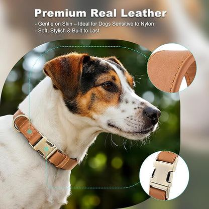 Plutus Pet Genuine Leather Dog Collar – Adjustable Pet Collar with Quick Release Metal Buckle, Soft Real Leather for Small Medium Large Dogs, Heavy Duty & Skin-Friendly (Light Brown, M)