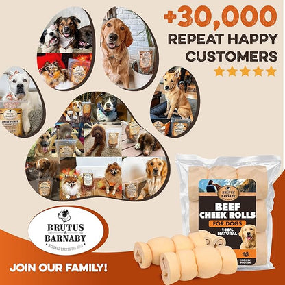 Premium Beef Cheek Rolls for Dogs 10-12" - (5-Pack) Long Lasting, Safe & Natural Rawhide Alternative Chews, Ideal for Large Dogs & Aggressive Chewers, Supports Dental Health & Digestion