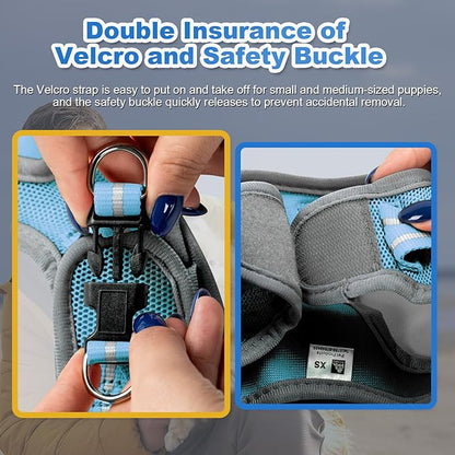 Dog Harness Medium Sized Dogs, Puppy Harness and Leash Set for Training, Running, Walking, Suitable for Small and Medium Dog Vest, Blue, XS