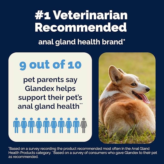 Vetnique Glandex Daily Probiotics for Dogs with Prebiotics to Support Gut Health with Fiber and Digestive Enzymes, Probiotic Chews or Powders (120ct Chews, Bacon Chews)