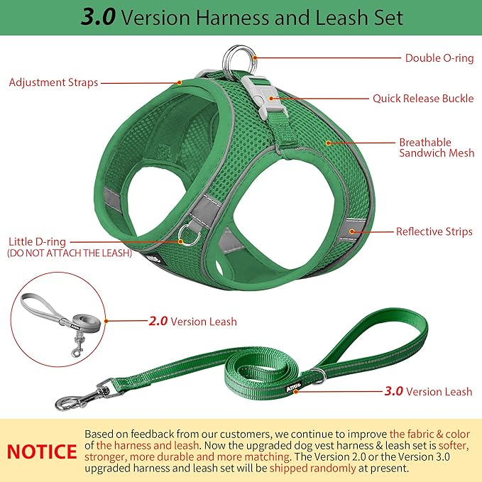 AIITLE Comfortable Dog Harness and Leash Set for Walking - Step in Vest Harness,Reflective Bands, Adjustable No Pull Puppy Essentials, for Small Dogs and House Cats Green XS