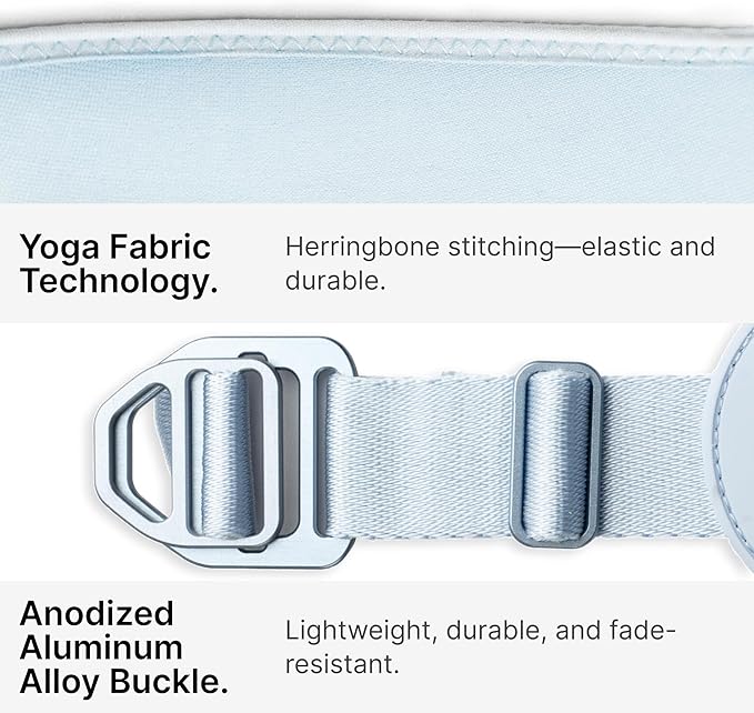 Ultra Comfortable Dog Harness Adjustable Soft Dog Vest, Alloy Buckle Closure Lightweight Stretchy Puppy Harness Step in for Small Sized Dogs Walking Training (Sierra Blue, M)