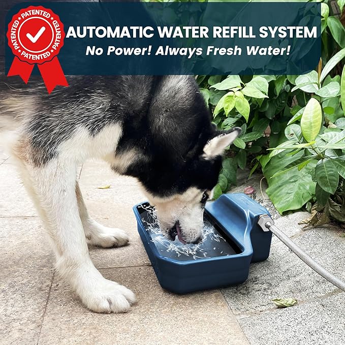 PETIMI Automatic Water Dispenser for Dogs/Cats, 1 Gallon Auto-Fill Dog Water Bowl Dispenser for Indoor/Outdoor, Large Water Feeder for Pets/Livestock, BPA-Free, Wide Mouth, Fits GHT 3/4" Faucet, Blue