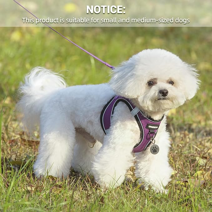 Dog Harness and Leash Set, Dog Harness for Dogs No Pull, No-Chock Step-in Reflective Breathable Lightweight Easy Walk Vest Harnesses with Safety Buckle for Small Medium Dogs, Cats (Purple, L)