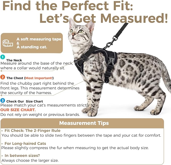 pangdi Cat Harness and Leash Set Escape Proof Tactical Extra Large Kitten Harness Emotional Support Cat Vest, Black, XL