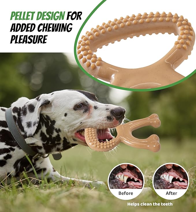 IPTPAS Durable Dog Chew Toy for Aggressive Chewers, Indestructible Nylon Bone Dental Care Teeth Cleaning Chew Toy for Small, Medium and Large Dogs, Keep Them Busy, Irresistible Beef Flavor (Brown)