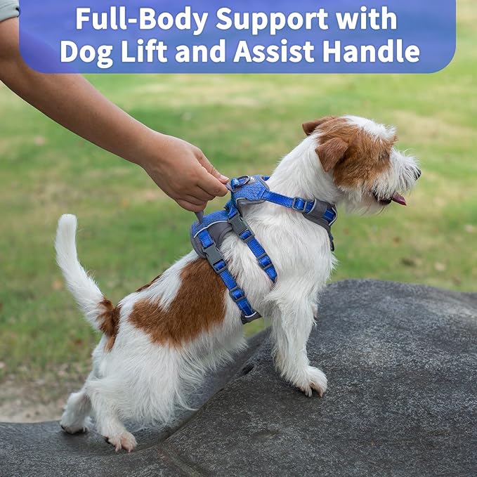 Huntboo Reflective Dog Harness with Handle, Escape Proof, No Slip, Breathable, Lightweight, Adjustable Lift Harness for Small, Medium, and Large Dogs Walking, Training, and Running Gear(Sea Blue,S)