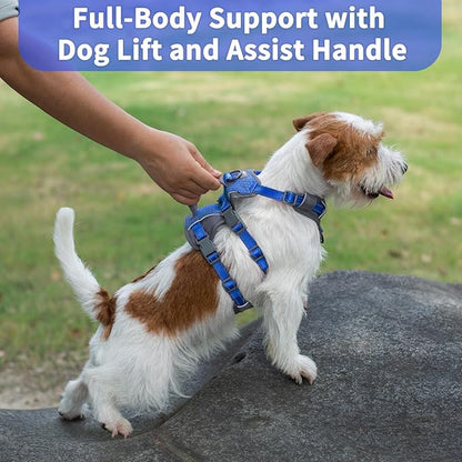 Huntboo Reflective Dog Harness with Handle, Escape Proof, No Slip, Breathable, Lightweight, Adjustable Lift Harness for Small, Medium, and Large Dogs Walking, Training, and Running Gear(Sea Blue,S)