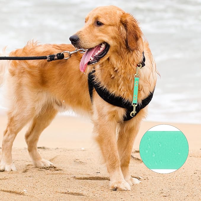 PetBonus Dog Collar Safety Clip, Waterproof Backup Safety Strap for Dog Harness to Prong Collar, Odor Proof Double Ended Clasp Leash Connector for Training Walking (Mint Green)