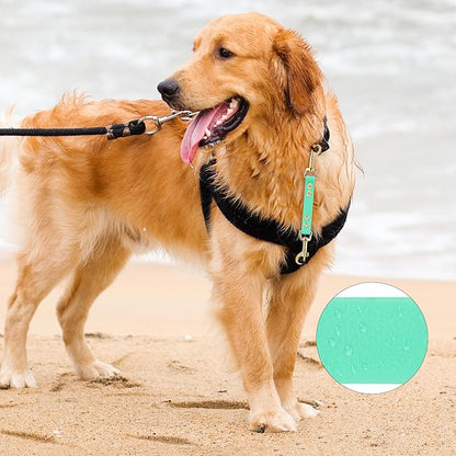 PetBonus Dog Collar Safety Clip, Waterproof Backup Safety Strap for Dog Harness to Prong Collar, Odor Proof Double Ended Clasp Leash Connector for Training Walking (Mint Green)