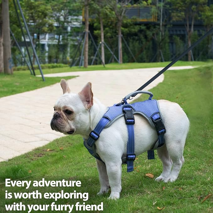 Huntboo Escape Proof Dog Harness, Escape Artist Harness, Reflective Dog Harness with Handle, Durable,Adjustable Vest for Small Medium Large Dogs Walking, Training,and Running Gear(Technicolor Blue,XL)