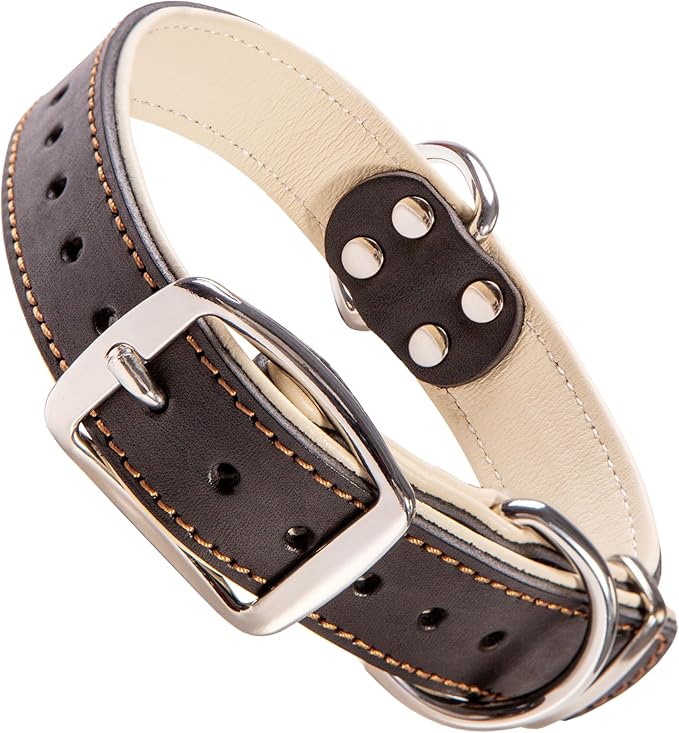 ADITYNA Heavy-Duty Leather Dog Collar for Medium Dogs - Soft Padded for Comfort - Black Dog Collar for Walking, Training, and Hiking
